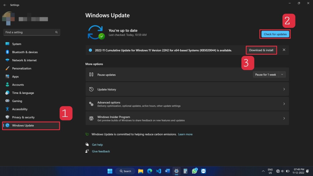 Check for Windows Updates